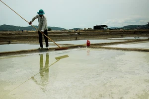 nghề làm muối sa huỳnh