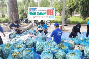 Quảng Ngãi: Nông dân sẵn lòng cho cả ruộng rau hỗ trợ nơi khó khăn do dịch Covid-19