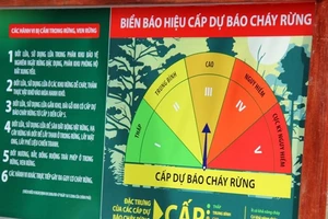 Quảng Ngãi nắng nóng, cảnh báo cháy rừng cấp cao