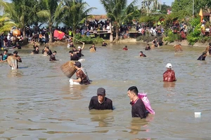 Lễ hội úp nơm bắt cá cầu may đầu năm ở Quảng Ngãi