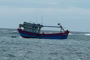 Tàu cá Quảng Ngãi mắc cạn trên vùng biển đảo Lý Sơn