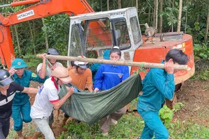 Quảng Ngãi: Khiêng võng băng rừng, lội suối đưa bệnh nhân bị tai biến đi cấp cứu