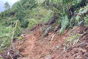 Hai thôn Đăk Pao, Đăk Panh, xã Sơn Tây Hạ, bị cô lập, mất điện và sóng sau mưa lũ