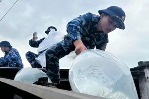 Quảng Ngãi: Nhiều lực lượng ra quân giúp dân chằng chống nhà cửa trước bão số 13