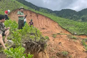 Phát hiện nhiều vết nứt trên núi Wang Với, Quảng Ngãi