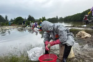 Thu gom dầu tràn sau xảy ra sự cố