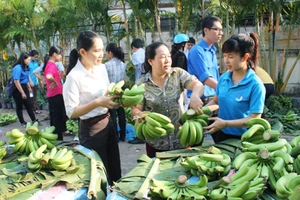 Nông sản lại rớt giá vì thiếu thông tin thị trường