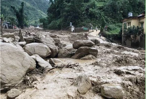 Lũ trên sông Thao, sông Lô đã đạt đỉnh, vùng núi phía Bắc đề phòng sạt lở đất 