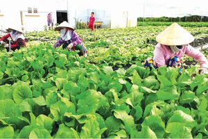 Đề tài nghiên cứu khoa học “trùm mền” vì thiếu vốn