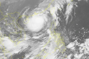 Bão số 11 có khả năng suy yếu thành áp thấp nhiệt đới 