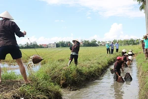 Phát triển nông nghiệp gắn với du lịch sinh thái