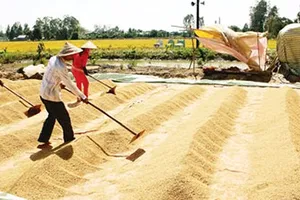 Ðưa phong trào Di sản thế giới Saemaul vào 8 làng nông thôn mới