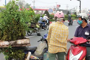 Cẩn trọng khi mua cây kiểng bán dạo