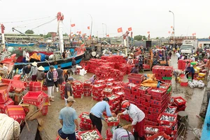 Chắp cánh khát vọng vươn khơi