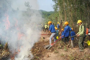 Đắk Nông chủ động phòng chống cháy rừng mùa khô 