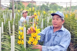 Rào cản