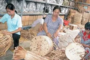 Đan sọt lục bình xuất khẩu tại HTX mây tre lá Ba Nhất. Ảnh: CAO THĂNG