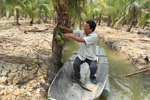 Khi nông dân TPHCM “chuyển bộ”