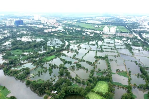 TPHCM chuyển đổi 26.000ha đất nông nghiệp: Thị trường bất động sản sẽ có biến động