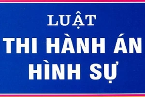 Chưa thống nhất cao về tiến độ xây dựng, thông qua dự án Luật Thi hành án hình sự