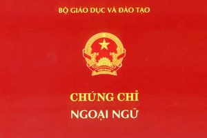 Yêu cầu chứng chỉ ngoại ngữ độc lập khi xét tuyển viên chức