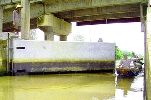 Ngành nông nghiệp tỉnh Hậu Giang phải đóng cống đề phòng nước mặn xâm nhập. Ảnh: CAO PHONG