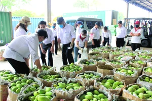 Vedan Việt Nam hỗ trợ cho nông dân huyện Vĩnh Cửu tỉnh Đồng Nai