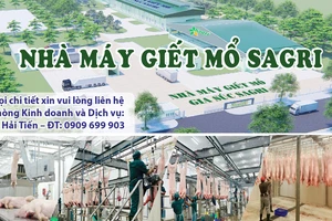 Nhà máy giết mổ gia súc Sagri công nghệ châu Âu tại TPHCM