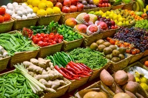 Ý nghĩa của IYFV 2021