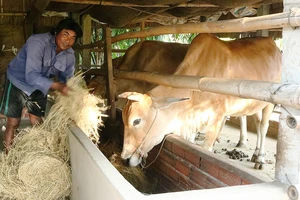 Mang xuân ấm đến đồng bào Khmer 