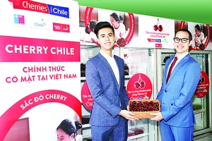 Cherry Chile lần đầu được nhập vào Việt Nam