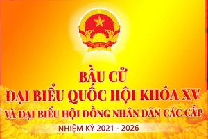 Tiếp nhận hồ sơ ứng cử đại biểu Quốc hội và đại biểu HĐND TPHCM