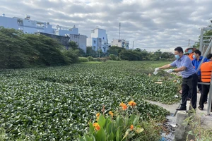 Khơi thông dòng chảy nghiên cứu khoa học 