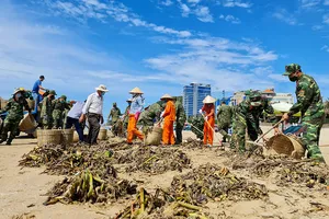 Thu gom rác dạt vào bãi biển TP Vũng Tàu. Ảnh: Báo BR-VT