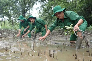 Thích ứng với biến đổi khí hậu để phát triển bền vững