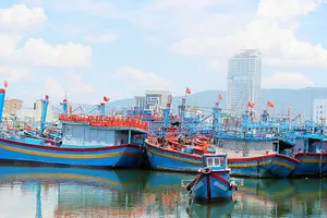 Nhiều tàu cá của ngư dân Bình Định không đủ điều kiện để được Nhà nước hỗ trợ nhiên liệu do thiết bị VMS liên tục bị gián đoạn