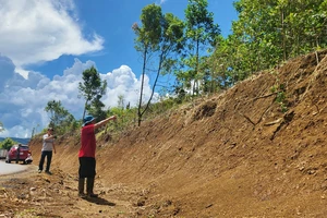 Dù đất cùng cây cà phê của hộ ông A Brên (thôn Vi Choong, xã Hiếu, huyện Kon Plông, tỉnh Kon Tum) không thuộc diện thu hồi nhưng nhà thầu vẫn tự tiện san ủi, làm thiệt hại tài sản của gia đình