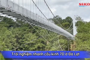 Trải nghiệm cầu kính 7D ở Đà Lạt