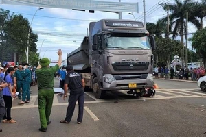 Tai nạn thương tâm, 2 ông cháu tử vong trên đường đến trường