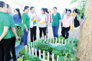 Cuộc thi trang trí tiểu cảnh nông trại sạch mang đến một sân chơi thú vị cho những người yêu thích trồng trọt và quan tâm đến thực phẩm sạch