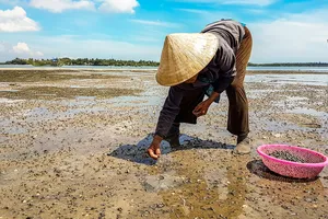 “Hòn vọng phu” nơi Bến Lở