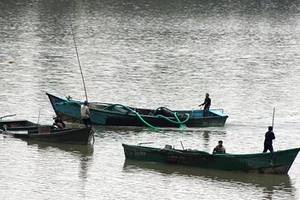 Vấn nạn khai thác cát lậu lên phim