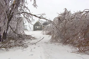 Tuyết rơi dày ở Quebec. Ảnh: Cbc.ca