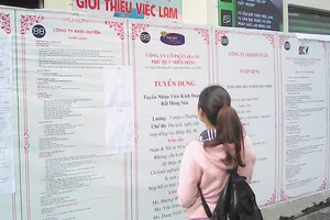 Các sinh viên có nhu cầu kiếm việc làm thêm thường tìm đến các công ty dịch vụ việc làm. Ảnh: THANH TIỀN