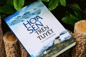 Hoa sen trên tuyết - Câu trả lời về ý nghĩa cuộc sống