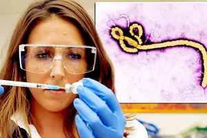 Phát hiện chủng virus Ebola mới