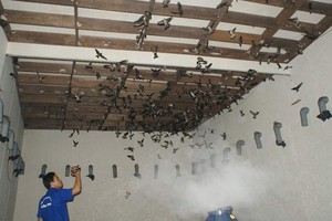 （示意圖來源：互聯網）