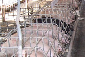 （示意圖來源：互聯網）