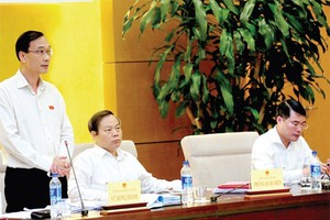 國家副主席馮國憲在會議上發表意見。（資料圖：光慶）