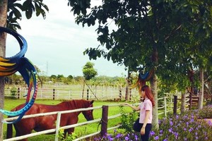 遊客參觀動物飼養區。（圖源：互聯網）